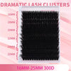Fluffy Lash Clusters